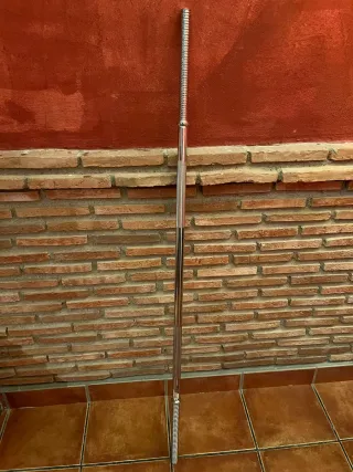 Gimnasio. Banco de pesas con barra y discos