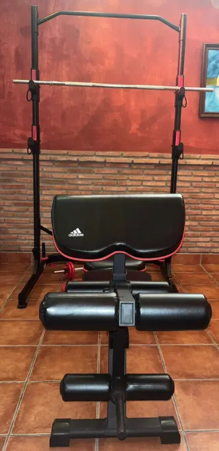 Gimnasio. Banco de pesas con barra y discos