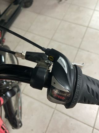 Bicicleta de paseo con silla para niño