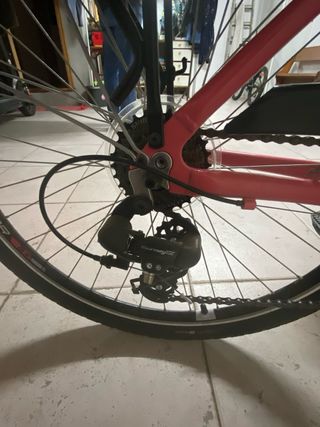 Bicicleta de paseo con silla para niño