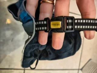 Cappottino per cane con cappuccio