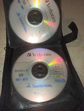 Novela La Usurpadora