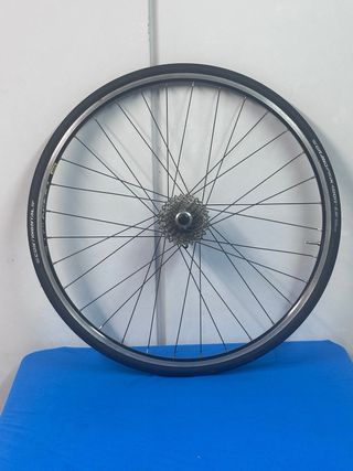 Rueda potenciómetro Cycleops PowerTap + REGALO