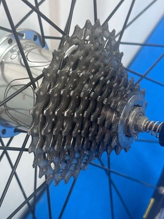 Rueda potenciómetro Cycleops PowerTap + REGALO