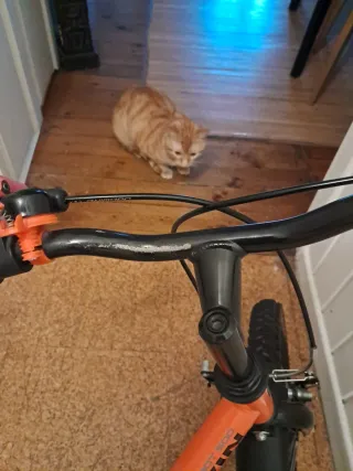 Bicicleta infantil Btwin naranja