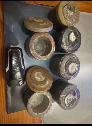 Cajas decorativas fósiles amonites