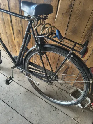 Bicicletta uomo BONAN ZANON