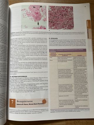 Principios de Medicina Interna - Respiratorio