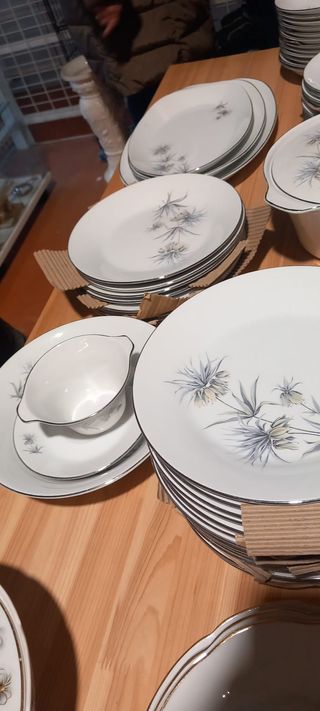 Vajilla Porcelana Española Vintage Elegante