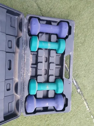 Juego de Mancuernas Moradas y Verdes