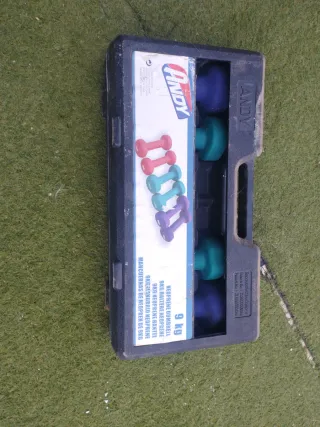 Juego de Mancuernas Moradas y Verdes