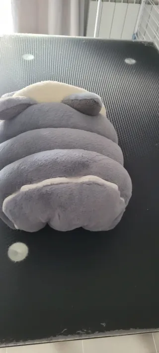 Caseta para gatos pequeños