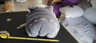 Caseta para gatos pequeños