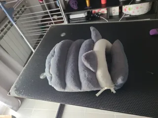 Caseta para gatos pequeños