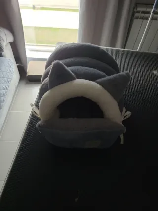 Caseta para gatos pequeños