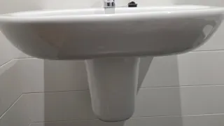 Lavabo Meridian Roca con semipedestal