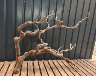 Raíz/tronco (COMPOSICIÓN) Decoración acuario