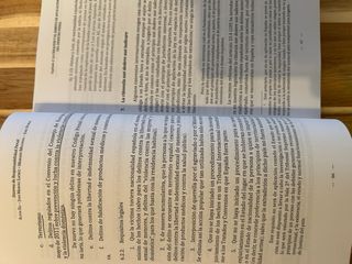 Sistema de Responsabilidad Penal (Spanish Edition)