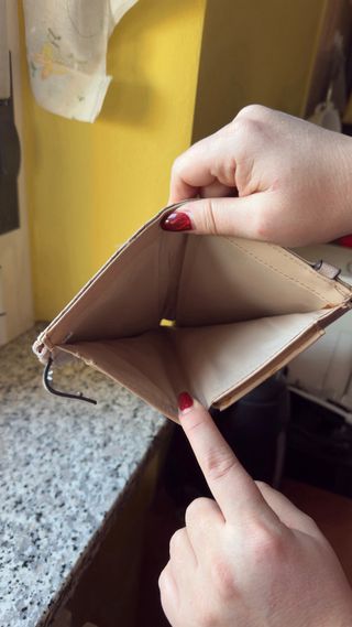 Portafoglio Guess donna beige/rosa monogramma GG