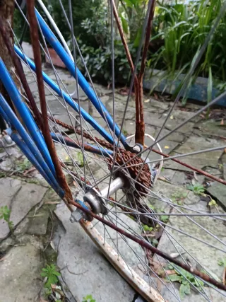 Bicicleta Orbea Vintage Carretera Azul