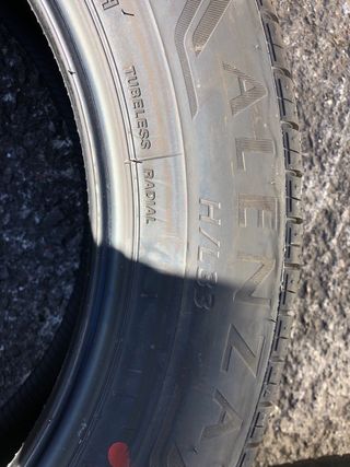 Bridgestone 225/60 R18 Neumáticos