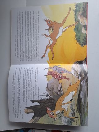 Disney Bambi- Alicia en el País de las Maravillas