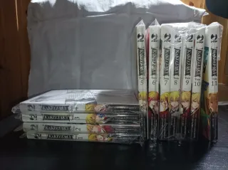 Kakegurui 1-14 Twin 1-11 Midari completa