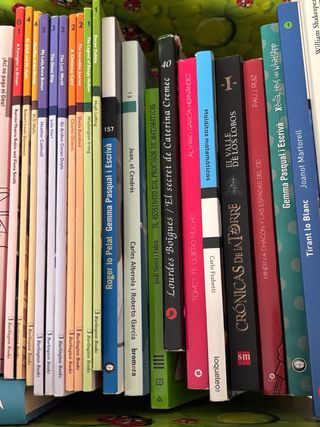 LIBROS ESO Y BACHILLER