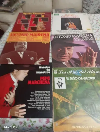 Lote 20 Vinilos Flamenco: Camarón, Mairena, Jerez