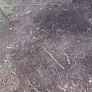 Tierra vegetal gratis.