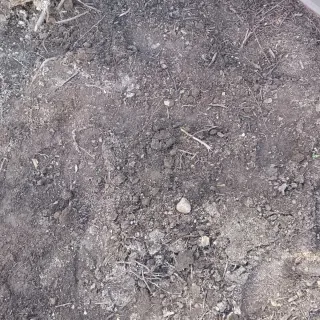 Tierra vegetal gratis.