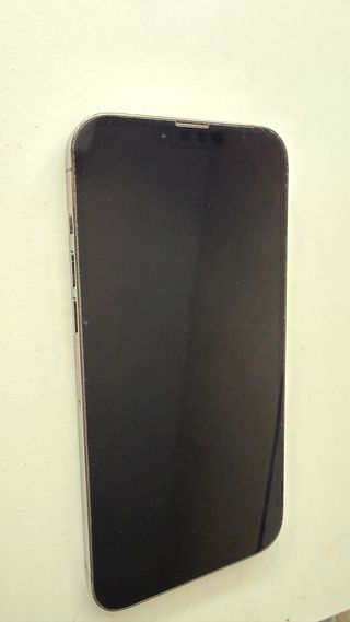 iPhone 13 Pro Max Argento