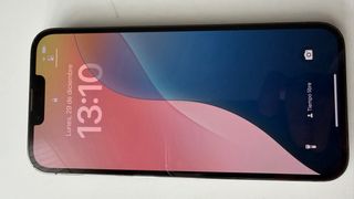 iPhone 13 Pro Max Argento