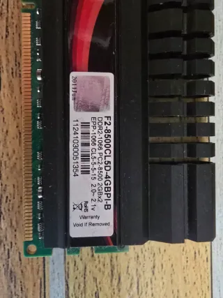 Memoria RAM G.Skill Serie Pi 2 x 2gb ram