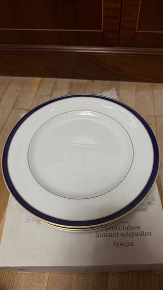 Jammet Seignolles Limoges Platos Porcelana 8.5