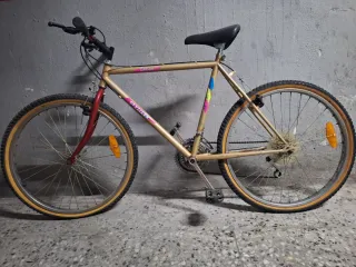Bicicleta de Montaña Stylizer