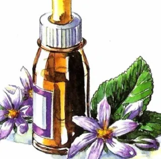 Terapeuta floral Reiki geltal