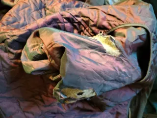 Gabardina cruzada vintage hombre