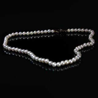 Collar Perlas Cultivadas Redondas, Cierre de Oro