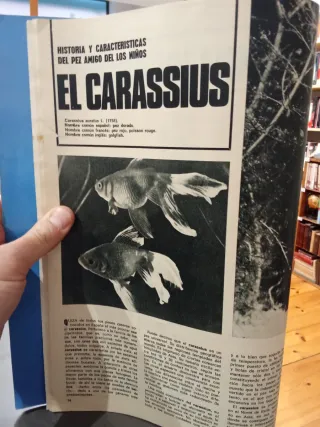 Don Perro Revista Mensual de Animales Casero Nr 1