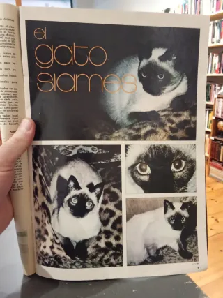 Don Perro Revista Mensual de Animales Casero Nr 1
