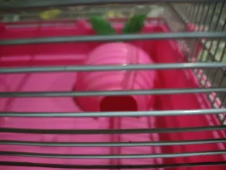 Jaula para hámster rosa y plateada con asa