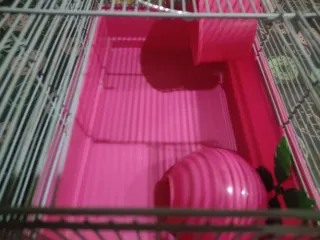 Jaula para hámster rosa y plateada con asa