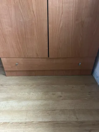 Armario de madera 195x100cm