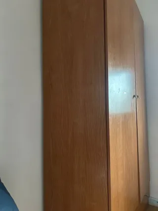 Armario de madera 195x100cm