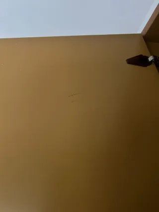 Armario de madera 195x100cm