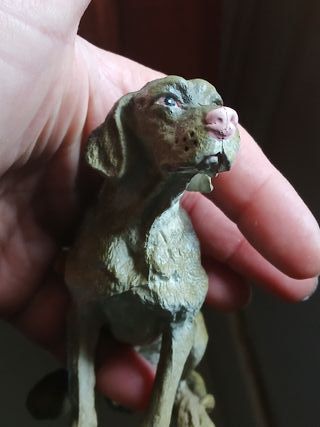 Statuina cane Vizsla vintage