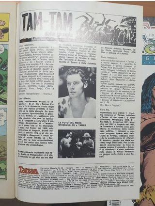 COMIC - TARZAN TRES LOTES ITALIANO