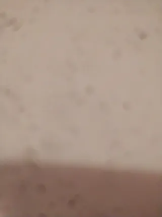 Rada case de trabajos mudanzas desalojos