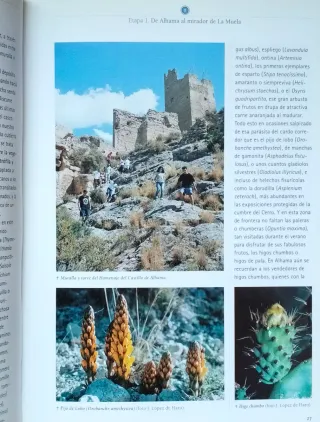 Sierra Espuña, El Berro y Gebas